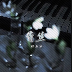 青丝 (创业进行曲DJ版)封面