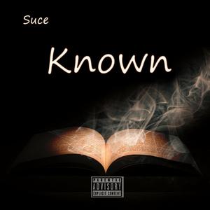 Shouldve Couldve (feat. Breezy) (Explicit)