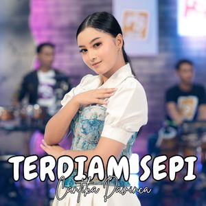 Terdiam Sepi (Dangdut)