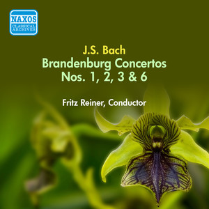 Bach, J.S.: Brandenburg Concertos Nos. 1-3, 6 (Reiner) [1949]