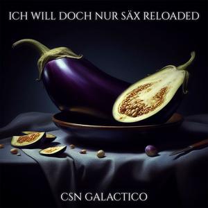 Ich will doch nur Säx Reloaded (Explicit)