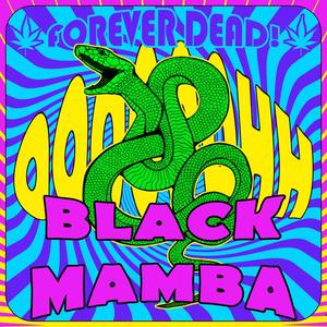 Black Mamba (Radio Edit) [Explicit]