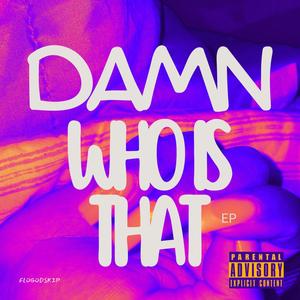 Damn Who Is That (Explicit)