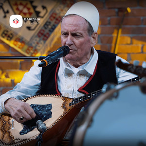 Moj Shqiponjë me flatra të arta