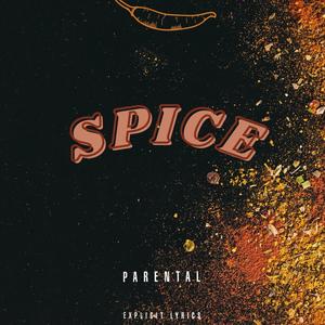 Spice (feat. P. Jones) [Explicit]