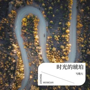 时光的琥珀