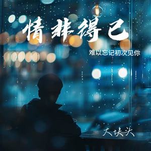 情非得已（难以忘记初次见你）