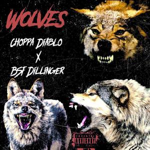 Wolves (feat. BSF Dillinger) (Explicit)