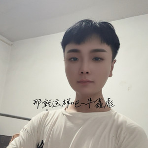 那就这样吧 (Live)