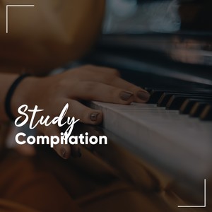 Perfect Study Compilation