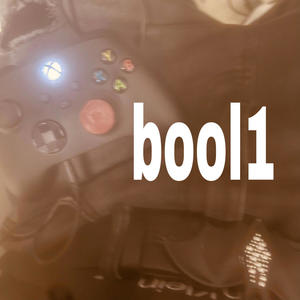 bool1 (Explicit)