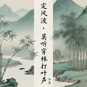 定风波·莫听穿林打叶声 (Live)