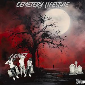 Cemetery Lifestyle (EP) [Explicit]