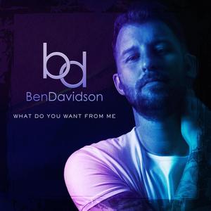 What Do You Want from Me (Lostchild Remix)