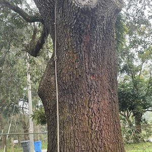 Demonic (Instrumental Version)