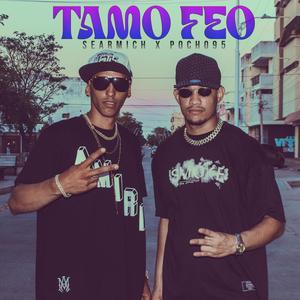 Tamo Feo (feat. Searmich & Pocho95)