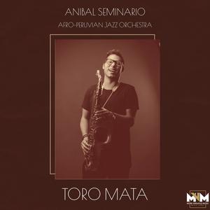 Toro Mata