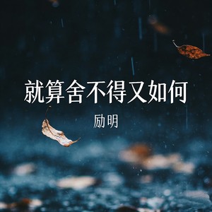 励明 - 就算舍不得又如何