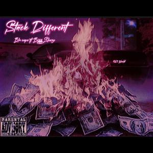 Stack Different (feat. Bigg Sleaze) (Explicit)