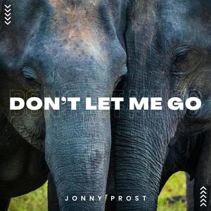 Don't Let Me Go