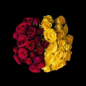 L'amour ou l'argent?