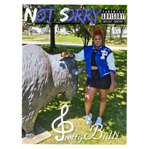 Not Sorry (Explicit)