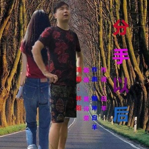 分手以后