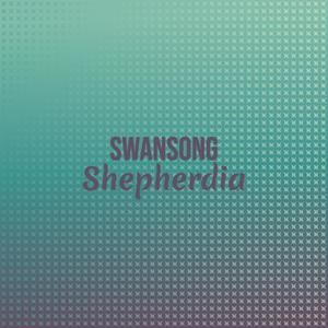 Swansong Shepherdia