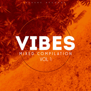 Vibes, Vol. 1 (Mixed Compilation) [Explicit]