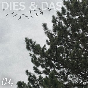 DIES & DAS (Explicit)
