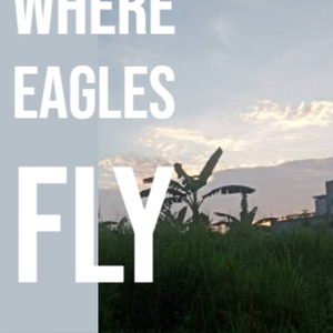 Where Eagles Fly