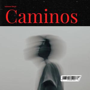 Caminos