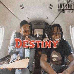 Destiny (Explicit)