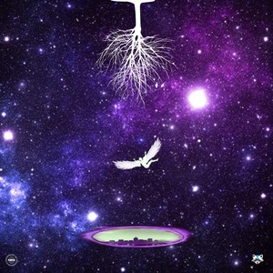 Entropy (feat. Thami 031) (Explicit)