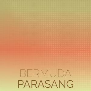 Bermuda Parasang