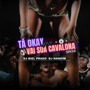TÁ OK vs VAI SUA CAVALONA (feat. DJ NANDIM) (Explicit)