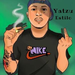 Estilo