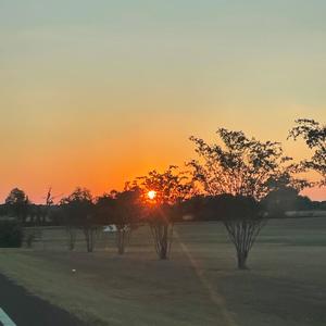 Stone Heart - Indifferent (Instrumental)