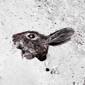 Kamikaze120 (Explicit)