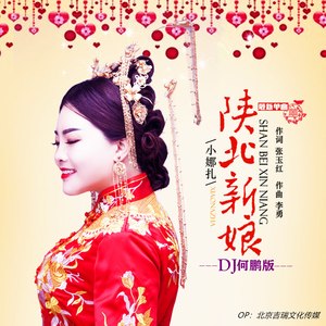 陕北新娘 (DJ何鹏版)