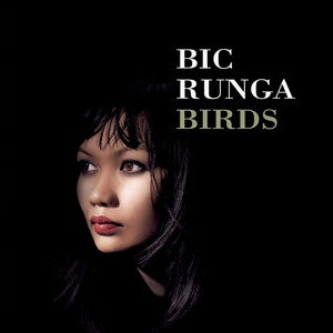 Bic Runga - Say After Me