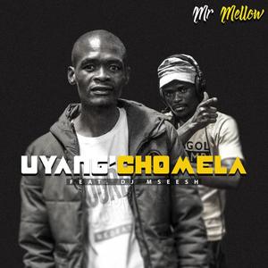 Uyang'chomela(feat. Dj Mseesh)