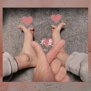 不是