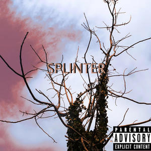 Splinter (feat. Day is Gone, MoeBeast & Shady Brunch) [Explicit]