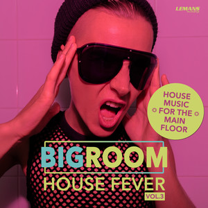 Bigroom House Fever, Vol. 3 (Explicit)