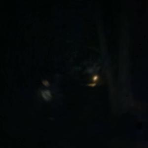 Dead Wrong (Explicit)