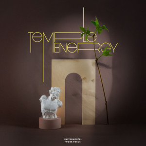Temple Energy