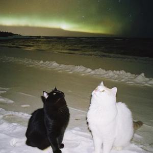 你到底在为谁等待