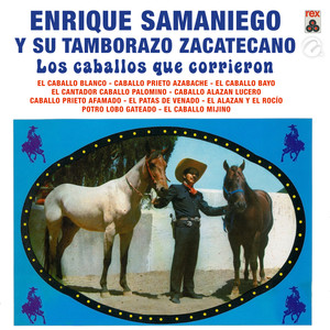 Los Caballos Que Corrieron