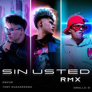 Sin Usted (Remix)